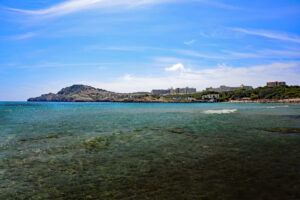 cala-agulla-con algas