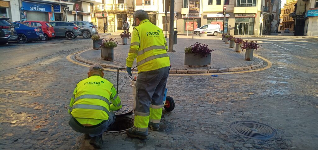 desratización-y-desinsectación