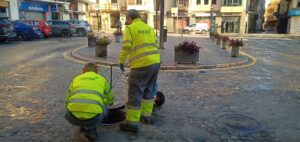 desratización-y-desinsectación